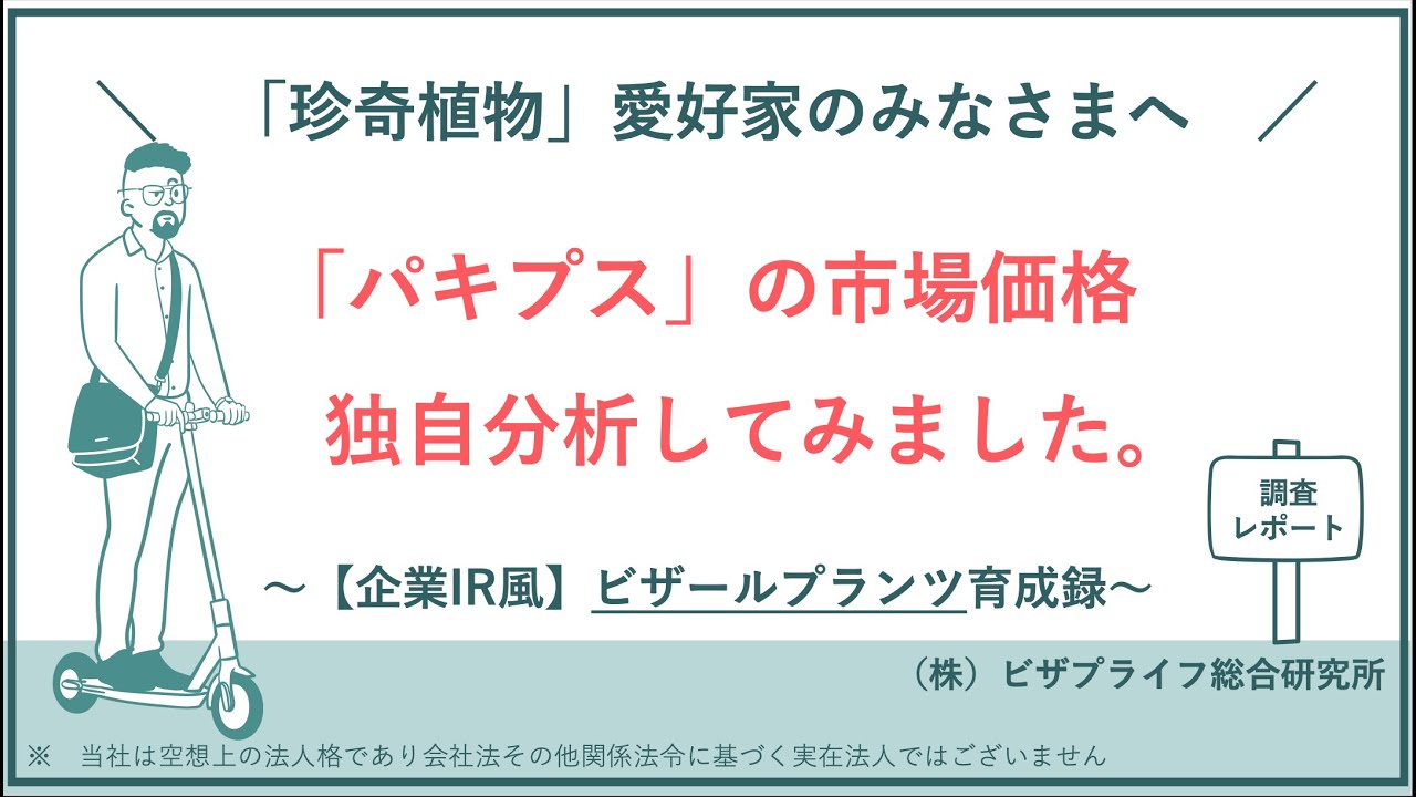 パキプスの市場価格を独自分析してみました。｜珍奇植物育成録&times;IR風プレゼン
