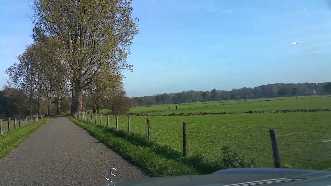 Vogelenzang in herfsttinten, deel 2.