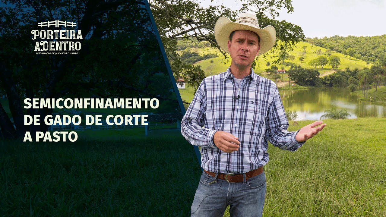 Semiconfinamento de gado de corte a pasto