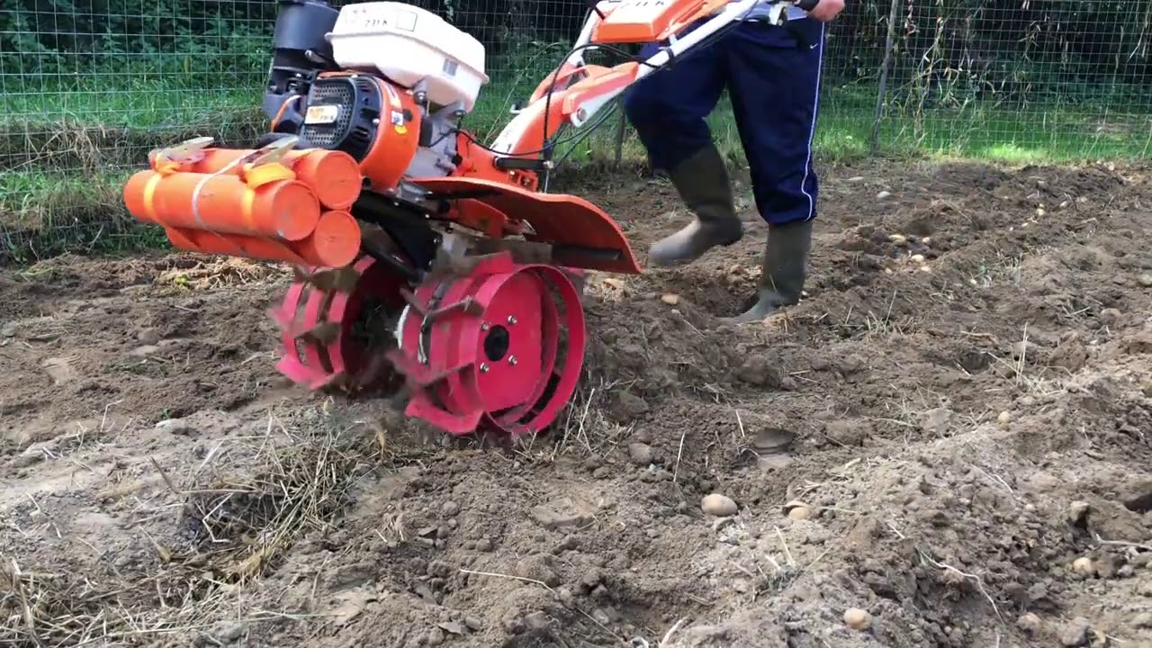 Ruris 731K la scos cartofi