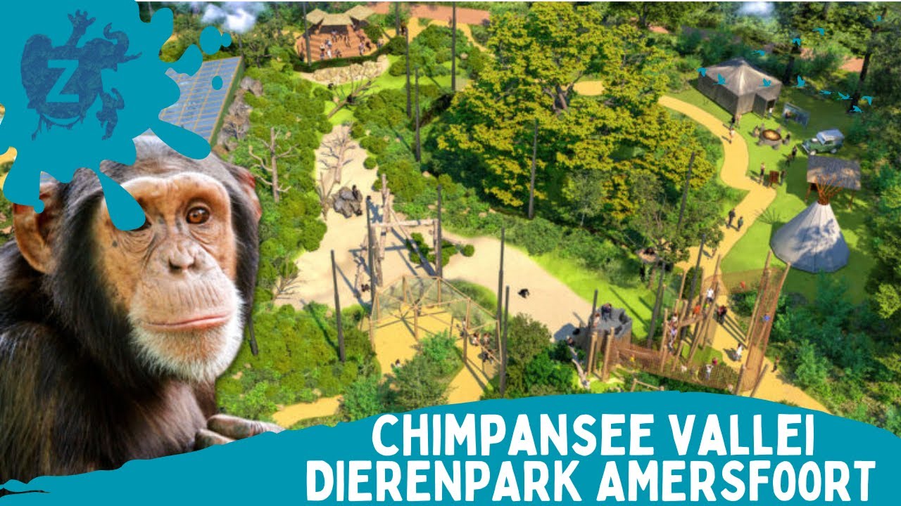 DierenPark Amersfoort - Chimpansee vallei