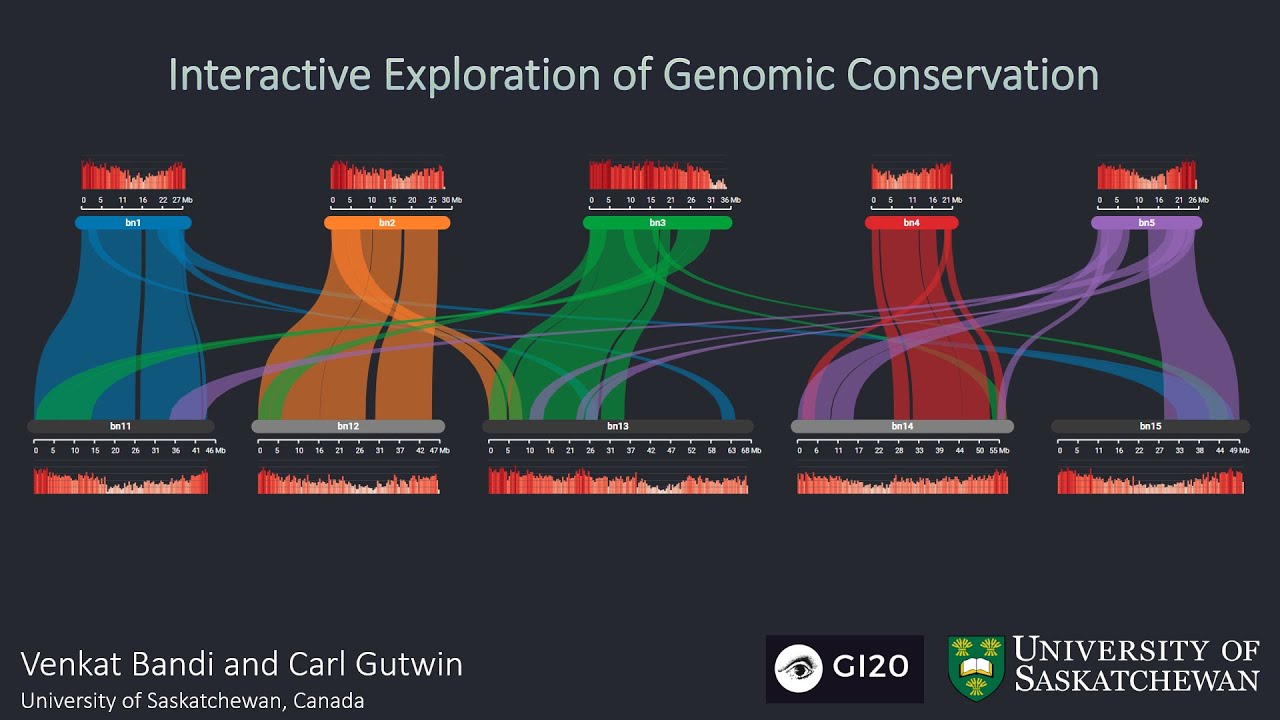 GI 2020: Interactive Exploration of Genomic Conservation