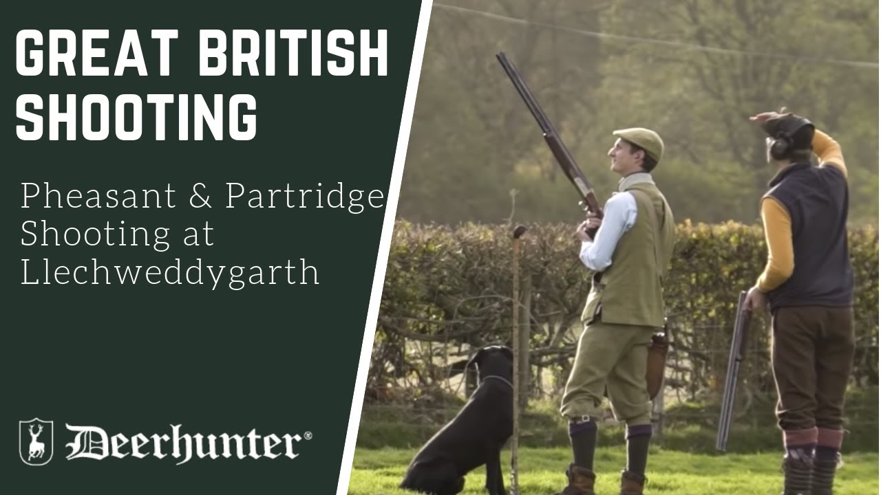 Pheasant and Partridge Shooting at Llechweddygarth