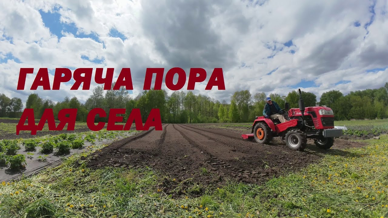 Готую площу під картоплю на городі. Грунтофреза ДТЗ ФН-1.3.#Шифенг240