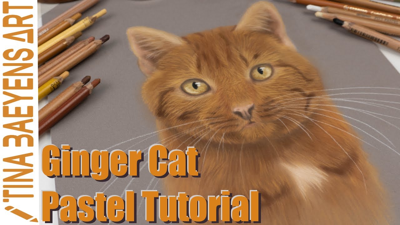 GINGER CAT TUTORIAL with SOFT PASTELS | Step by step | TinaBaeyensArt