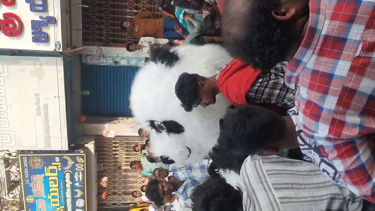 #eluru 