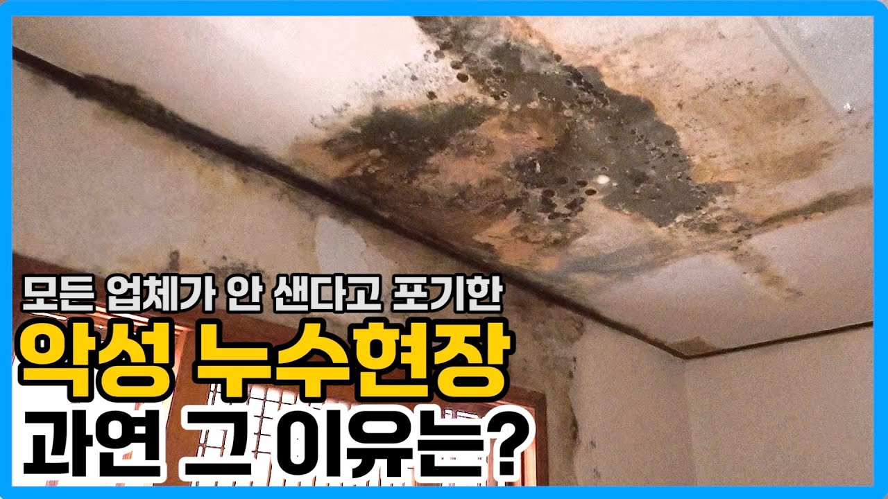 다들 포기한 이유가 다 있었네! [창원 수도 누수]