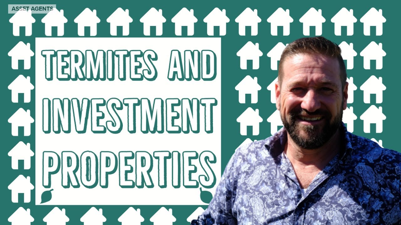 Termites and Investment Properties in Qld