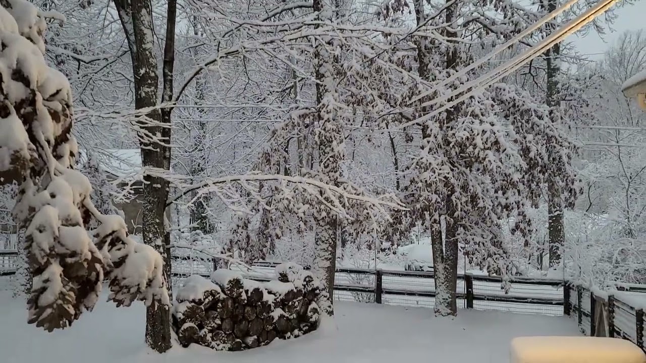 SNOW! Mr. Smiley barks, January 19, 2025