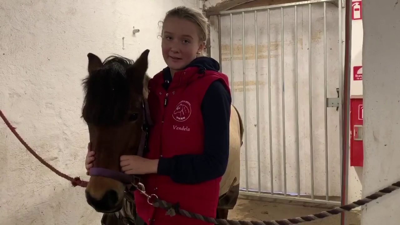 Sätta på och ta av hästen täcket