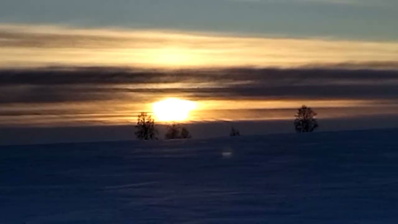 Winter sunshine 24 February 2026 г.