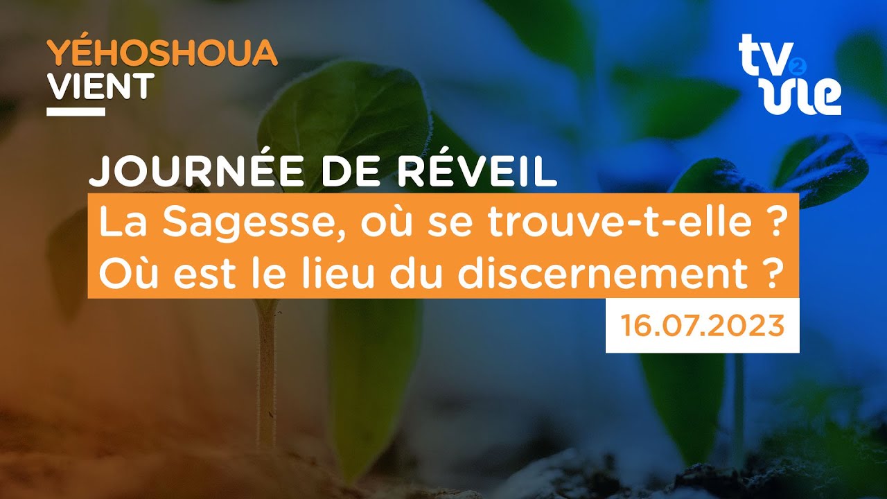 La Sagesse, où se trouve-t-elle ? Où est le lieu du discernement ? (16/07/23)