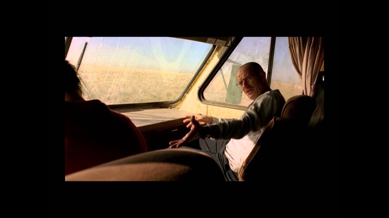 Walter White - Did Your Mother Drop You On Your Head When You Were a Baby?