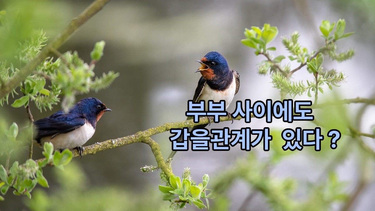 부부 싸움의 시작은 이것 때문이다