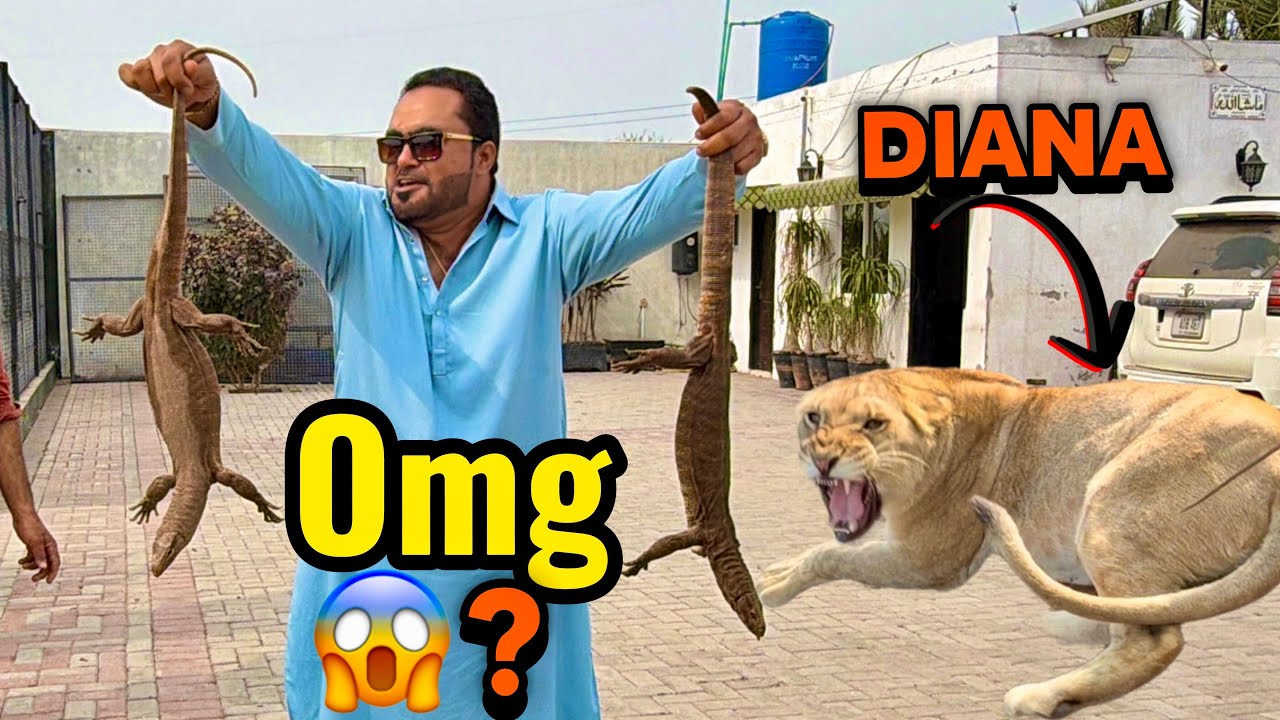 Dangerous dragon pair farmhouse pr kis nay choor dia 😱Sab khofzad 😰(mian saqib)