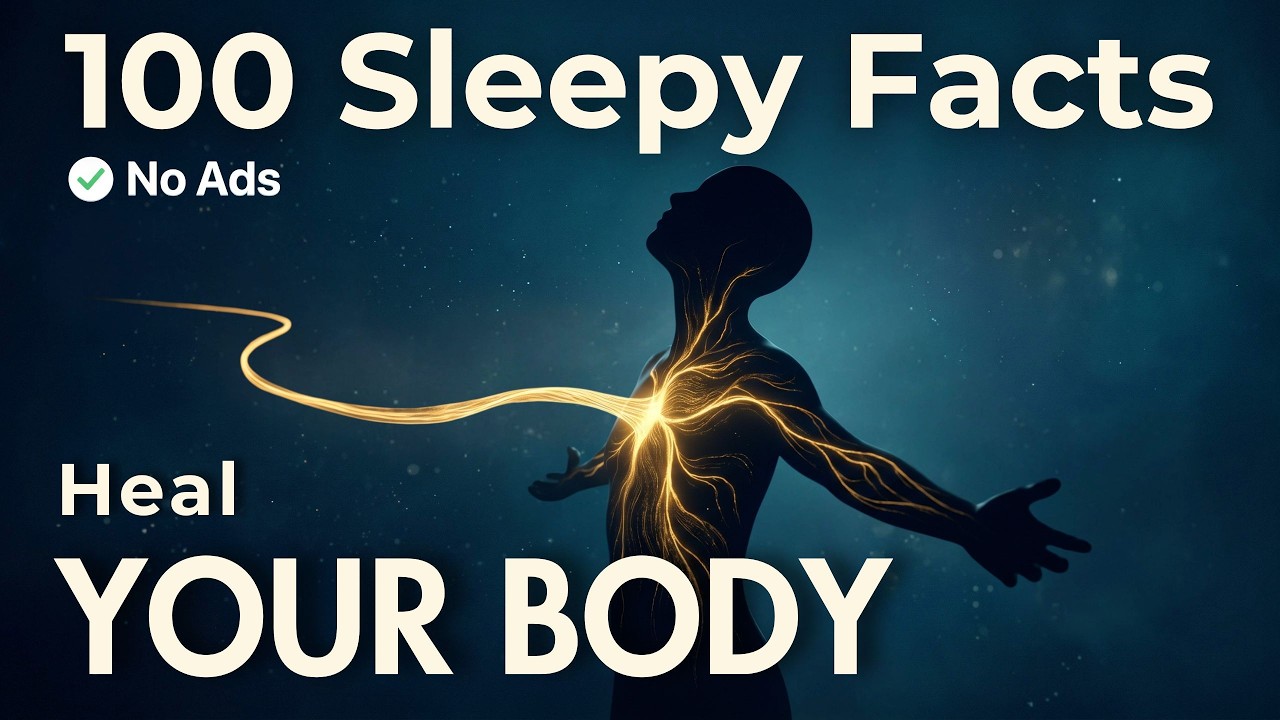 The Foods That Actually Heal Your Body | Relaxing Facts To Fall Asleep To