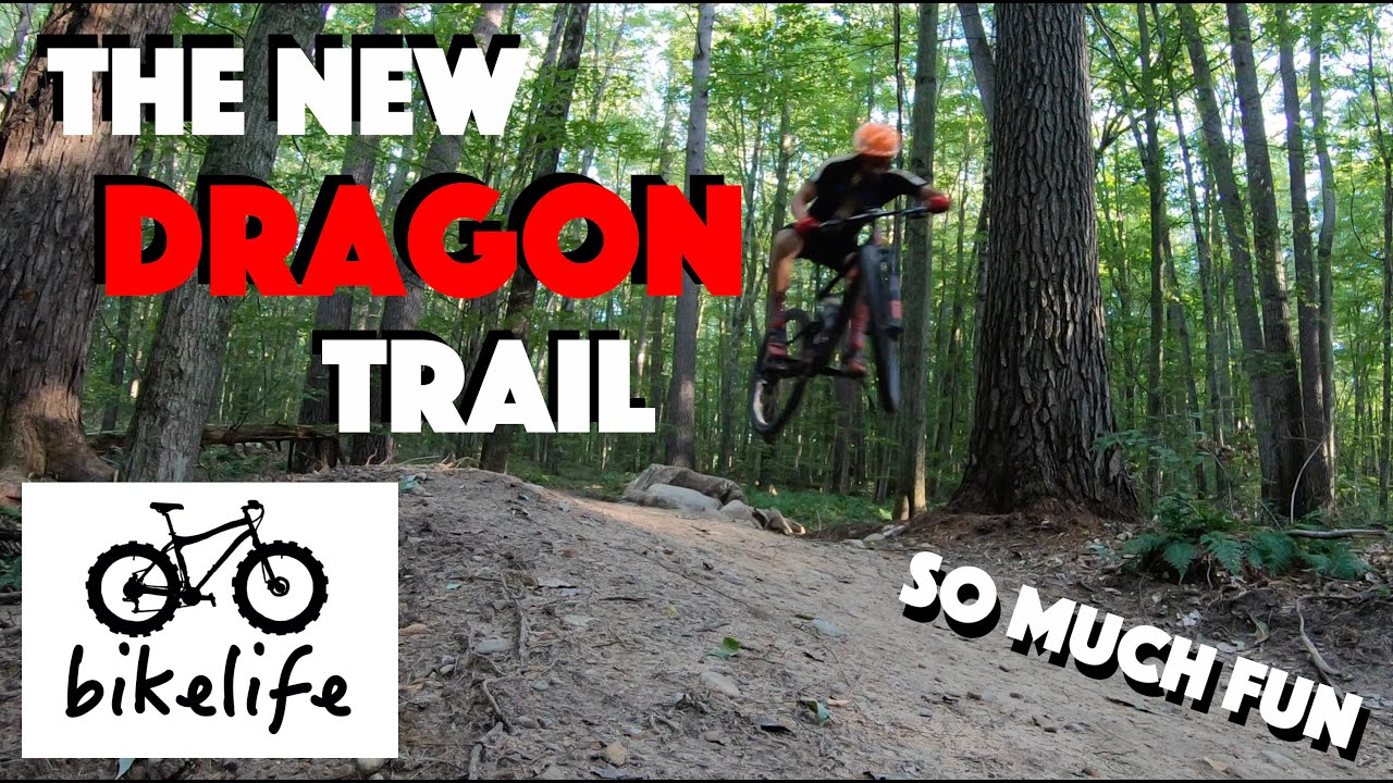 The Dragon Mountain Bike Trail Michigan - Singletrack Perfection - Sandy Beach Campground