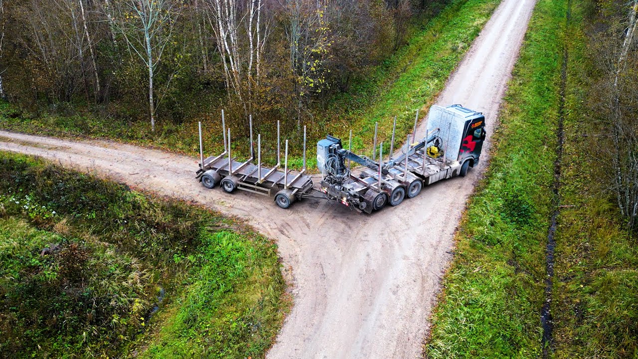 Timber truck, Pine logs, Rain, Reversing.  Looks like a work 🌲🌲🌲.