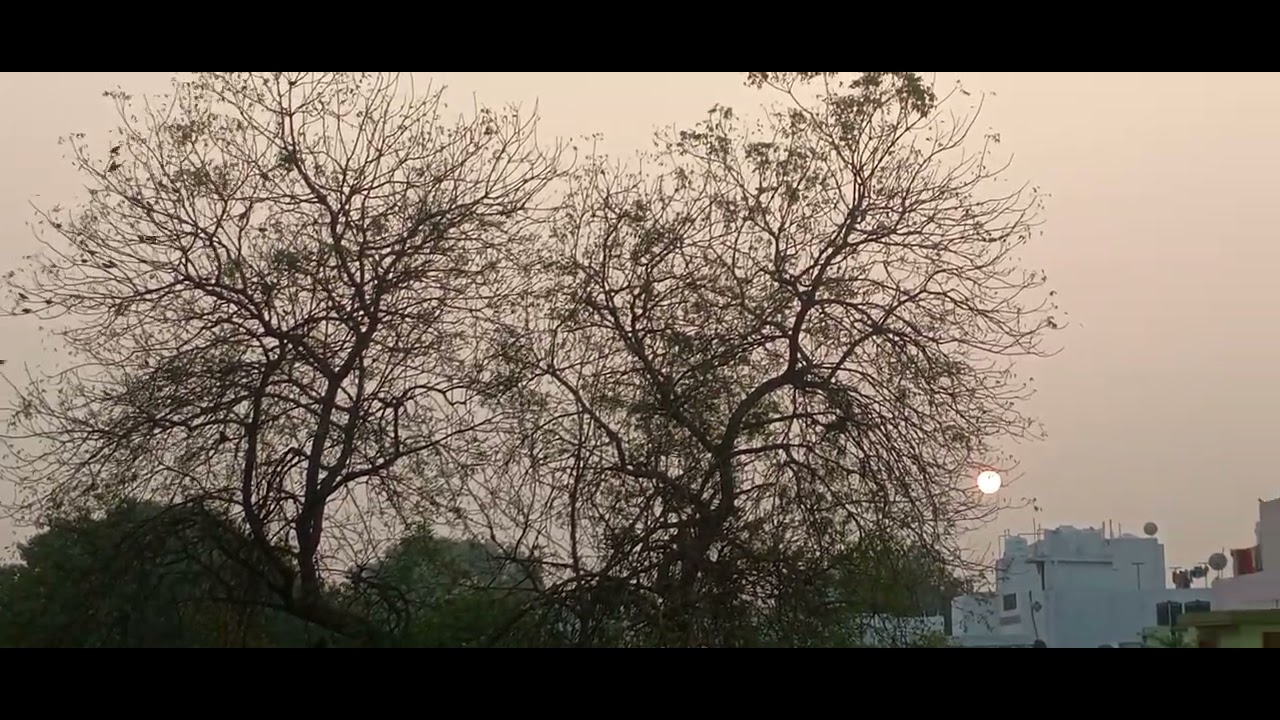 இறைவன் வரையும் ஓவியம் 295 ம் நாள் 