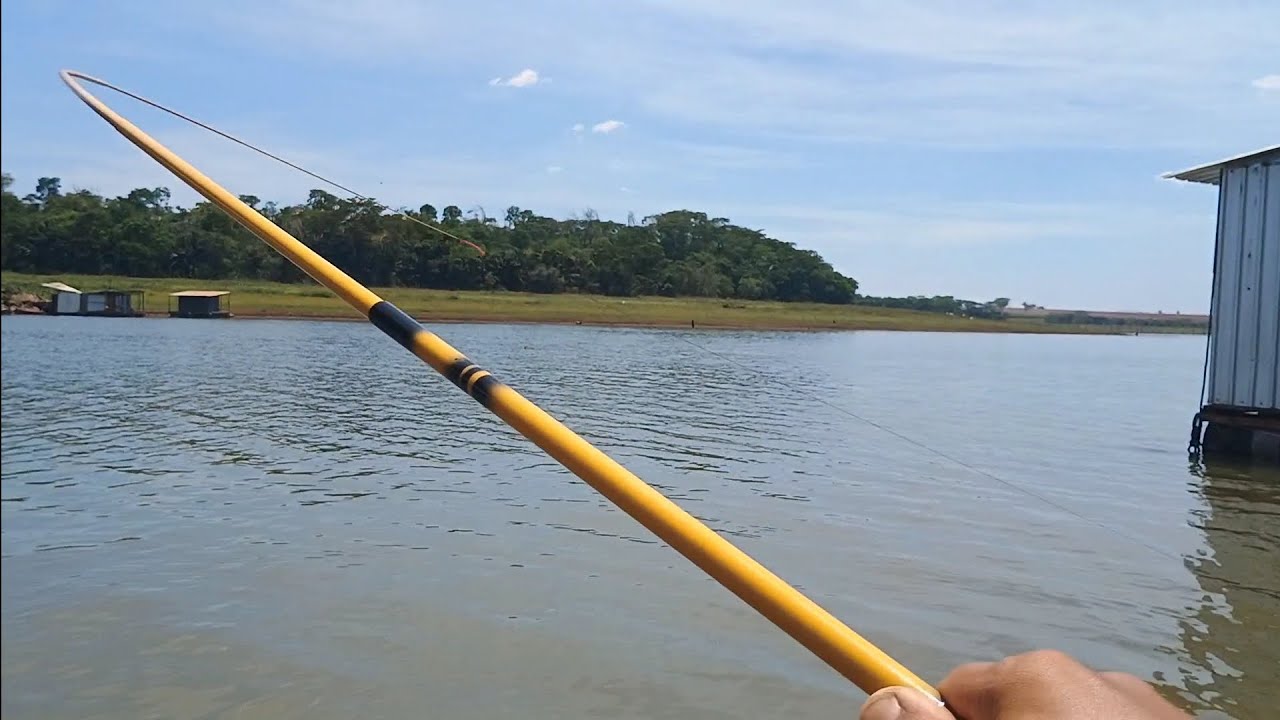 É incrível a diversidade de peixe nesse rio