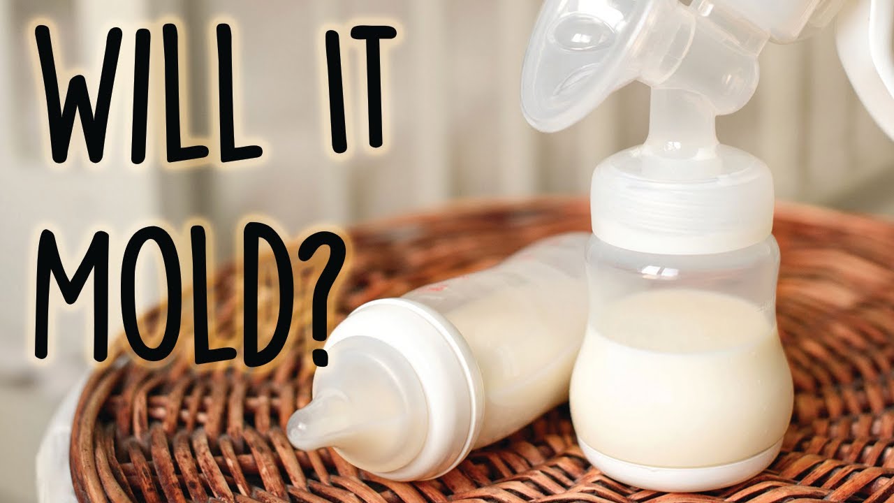 Will It Mold? Using breast milk in Melt and Pour Soap base a Six Month Test
