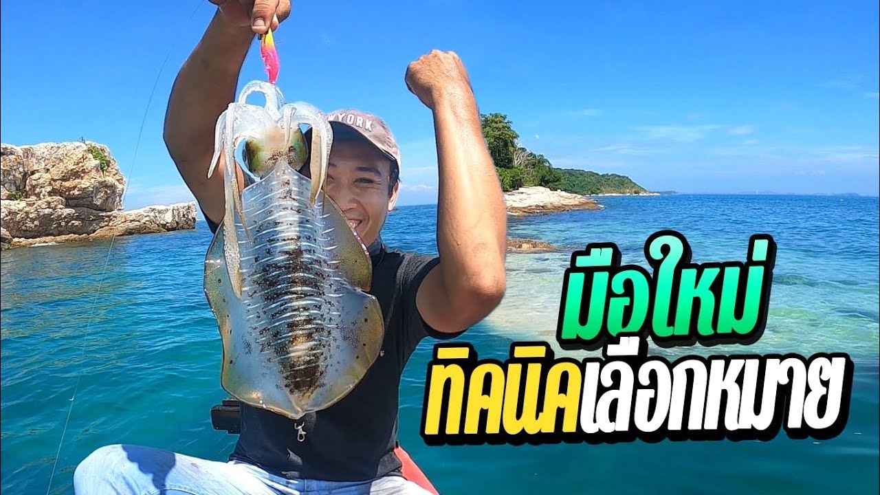 เทคนิคเลือกหมายชายฝั่ง[มือใหม่]ตกหมึก EP.105