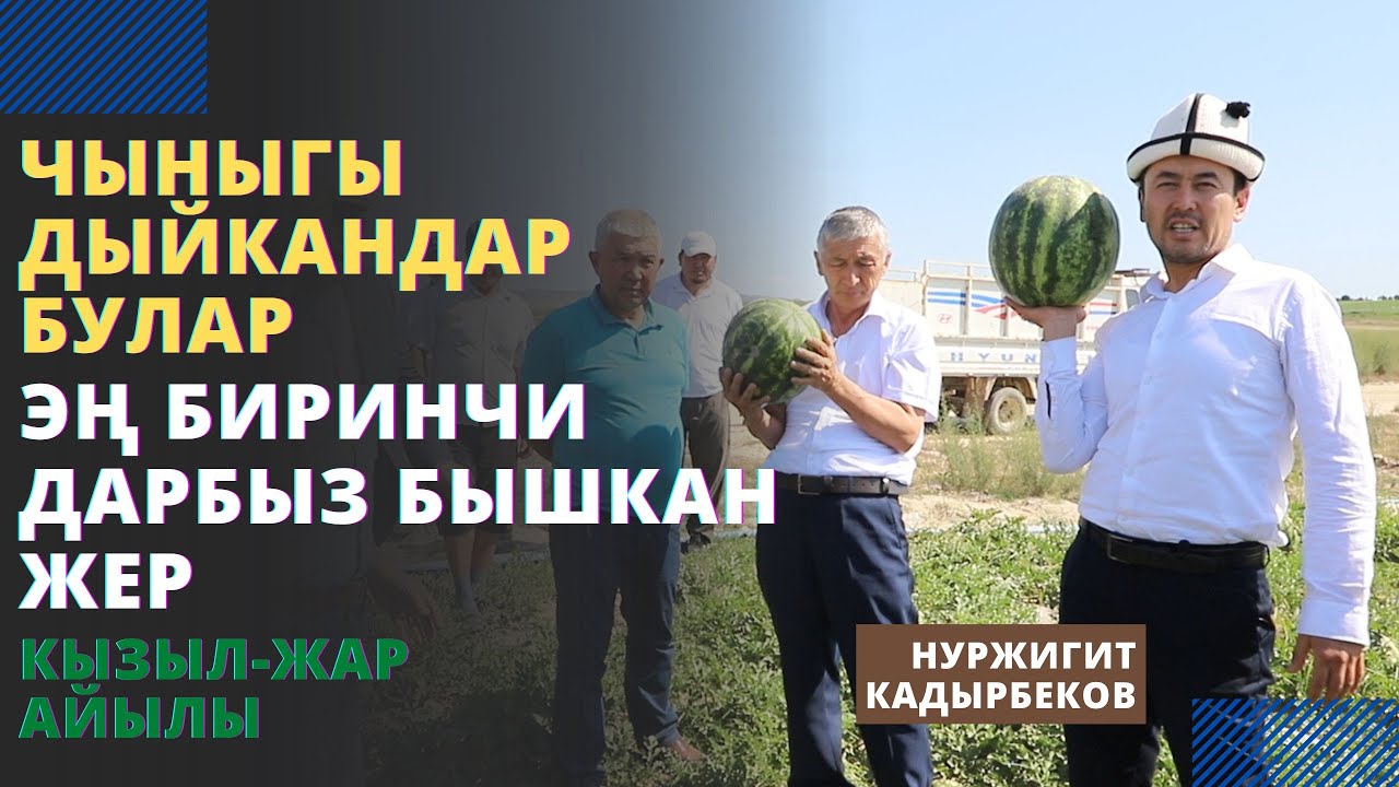 Чыныгы дыйкандар булар | Эң биринчи дарбыз бышкан жер | Кызыл-Жар айылы | Нуржигит Кадырбеков