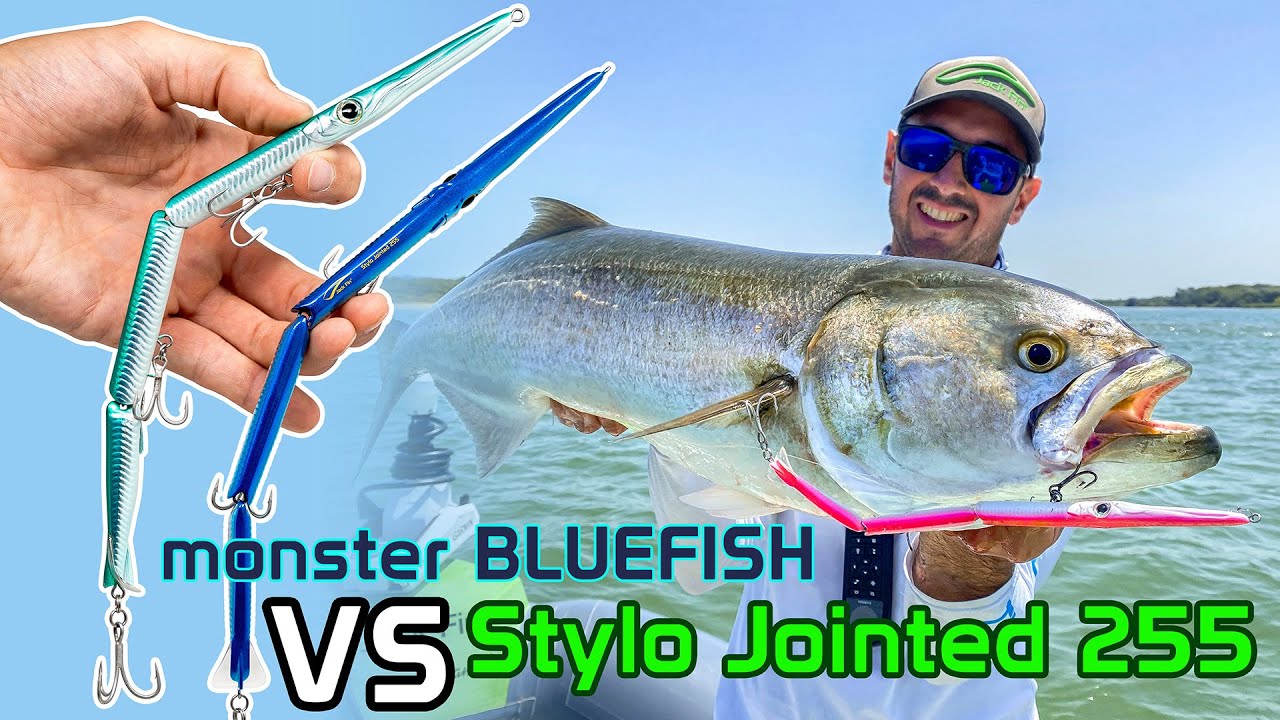 Monster BLUEFISH VS Stylo Jointed 255