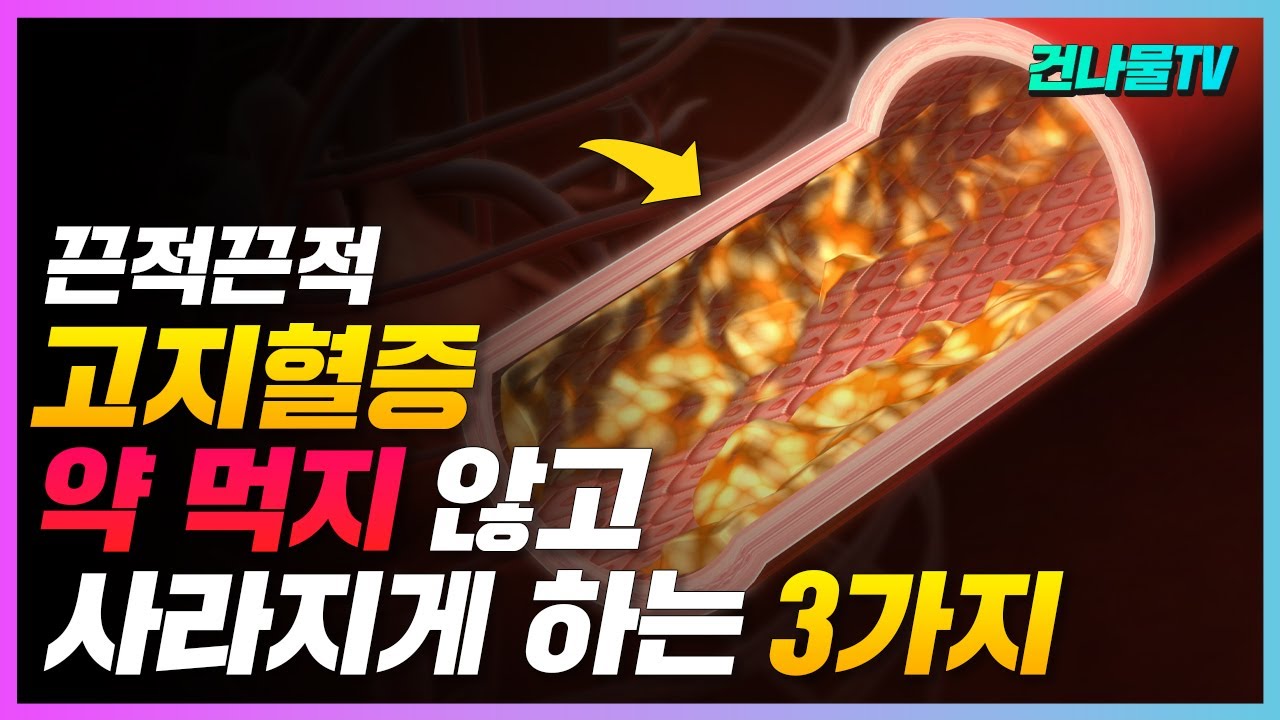 고지혈증 있을 때 약 먹지 않고 치료하는 방법 과 꼭 피해야 하는 음식