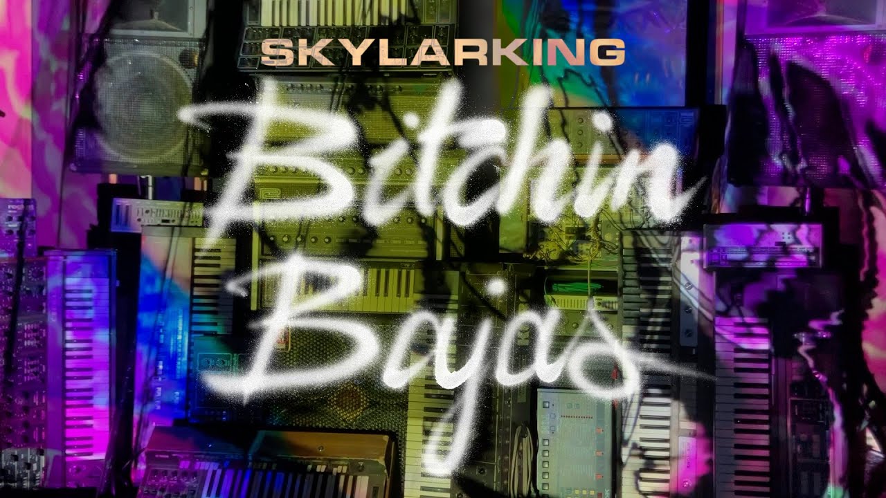 Bitchin Bajas 
