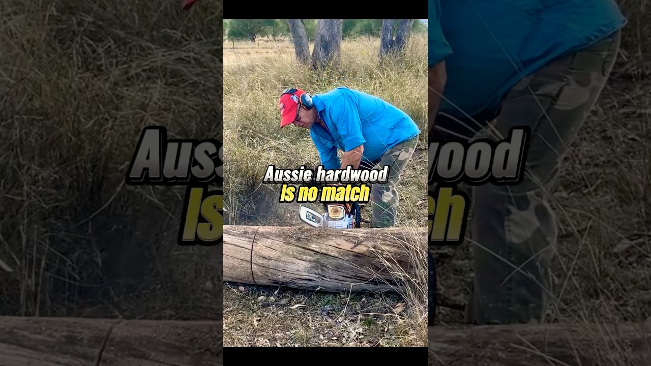 Stihl MS500i chainsaw vs Aussie hardwood #australia, #Stihl MS500i, #firewood,