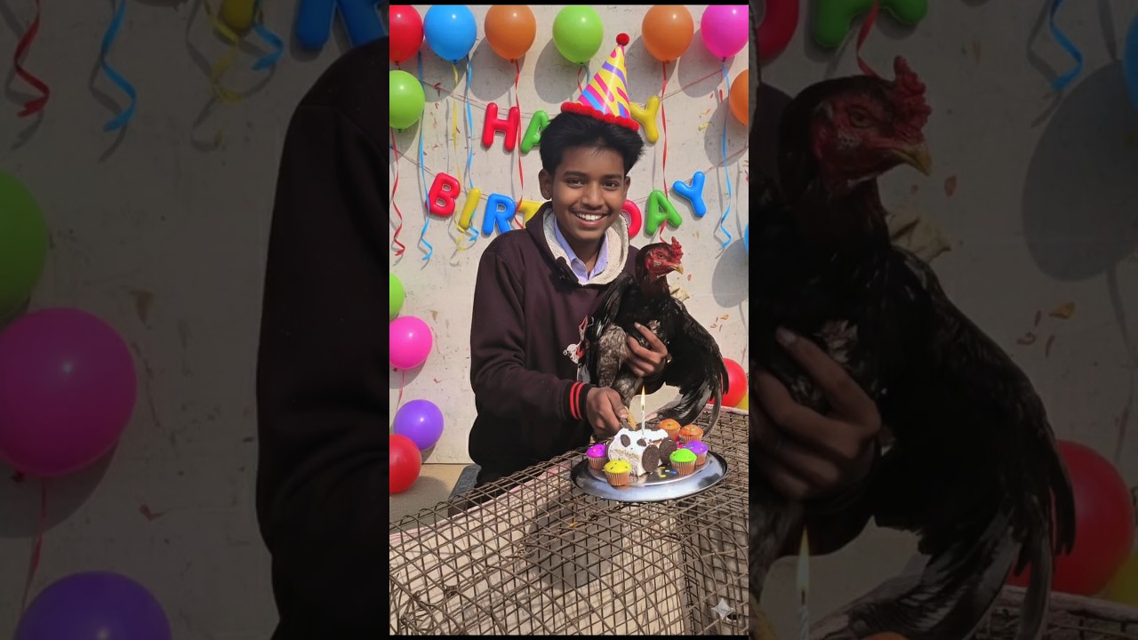 Aaj murge 🐓ka janmdin 🎈 manaya
