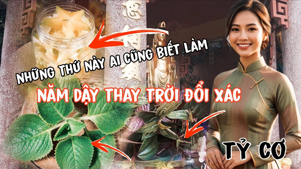 Những Việc Cần Làm Khi Đất Dậy Thay Trời Đổi Xác 2026 Nếu Ai Chưa Tin | tỷ cơ tâm tịnh thiền định