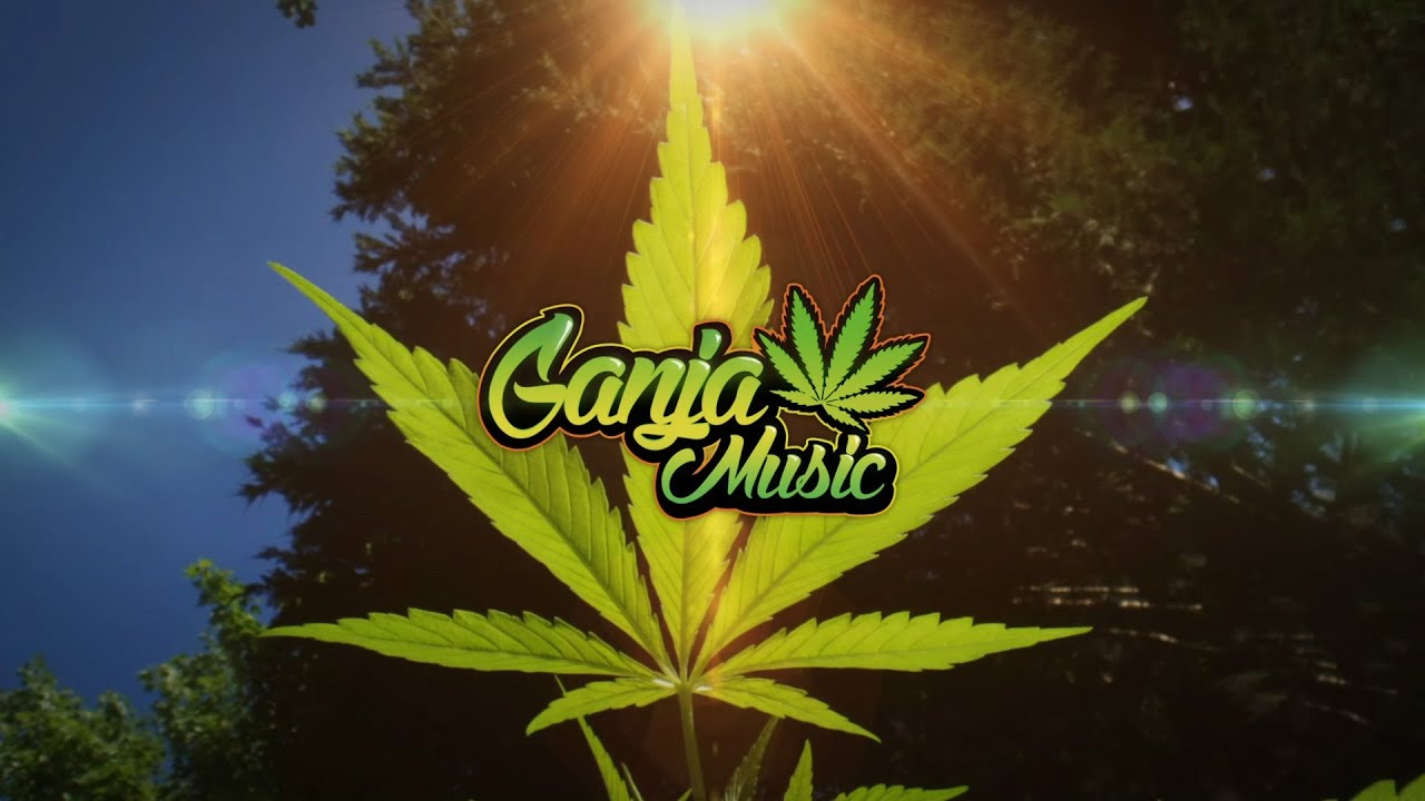 Conkarah - Ganja Love (Jason Derulo & Jawsh 685 - Savage Love Cover)