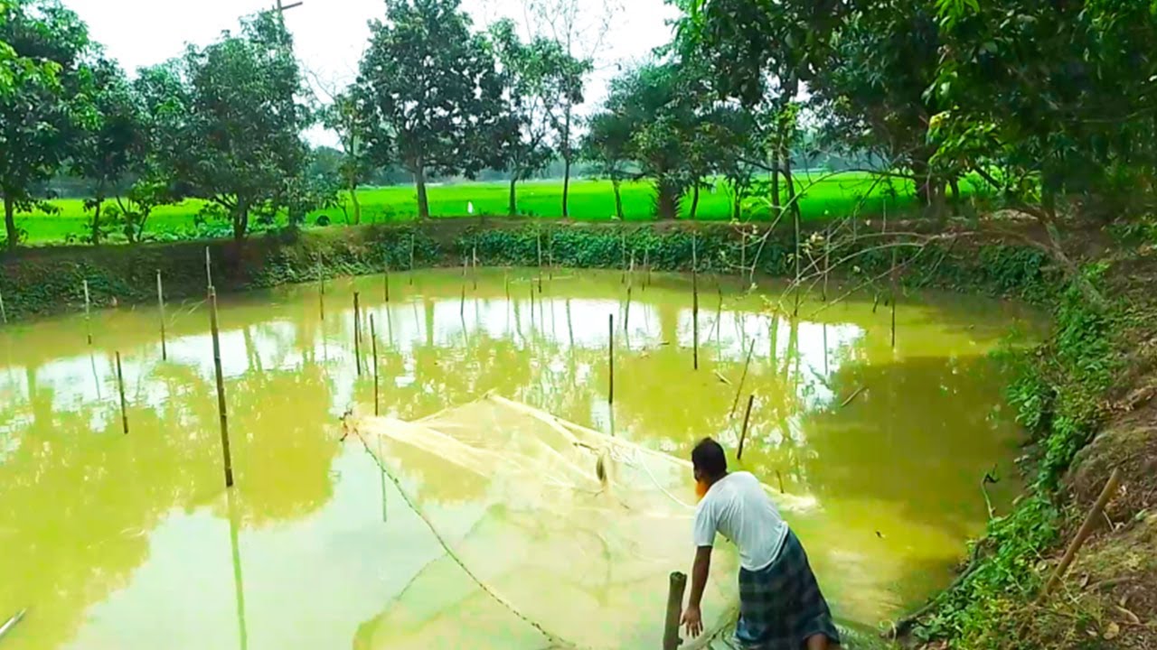 Amazing Net Fishing Techniques | New Fishing Video | Fishing & Hunting Show