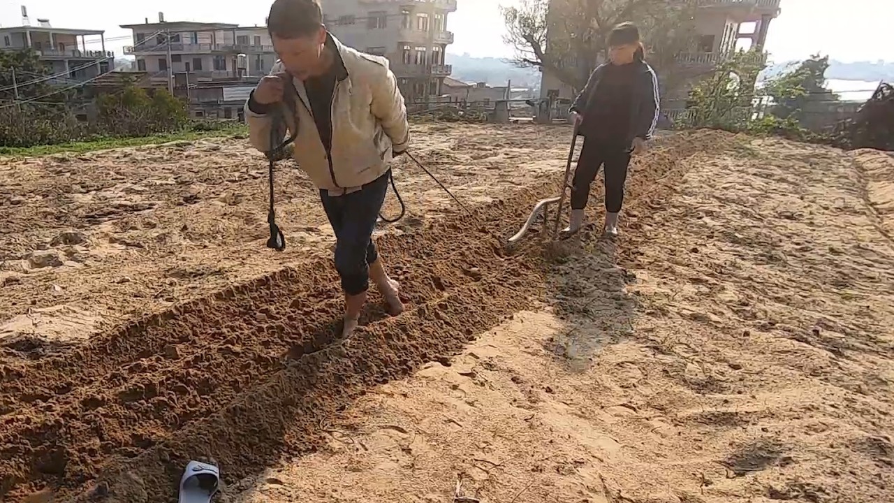这几年种植海带每年开支20多万，行情不好亏本了就把地还给人家