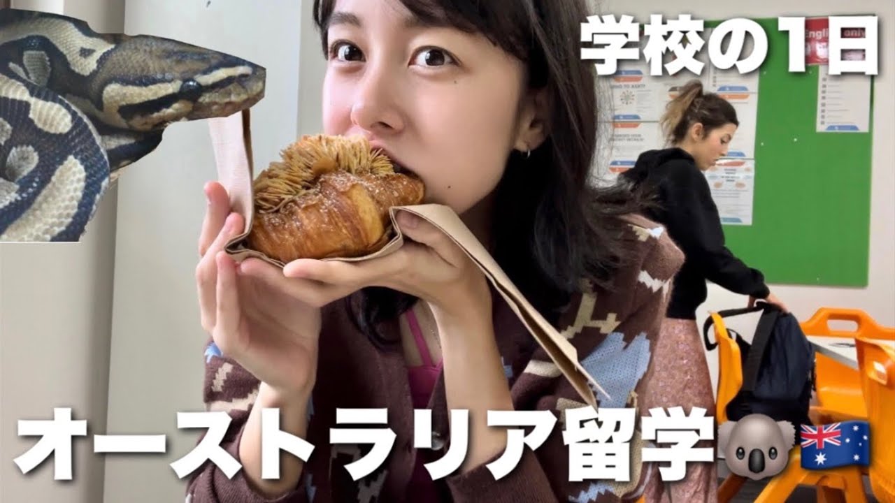 【留学Vlog】学校にヘビが来た日の授業inブリスベン