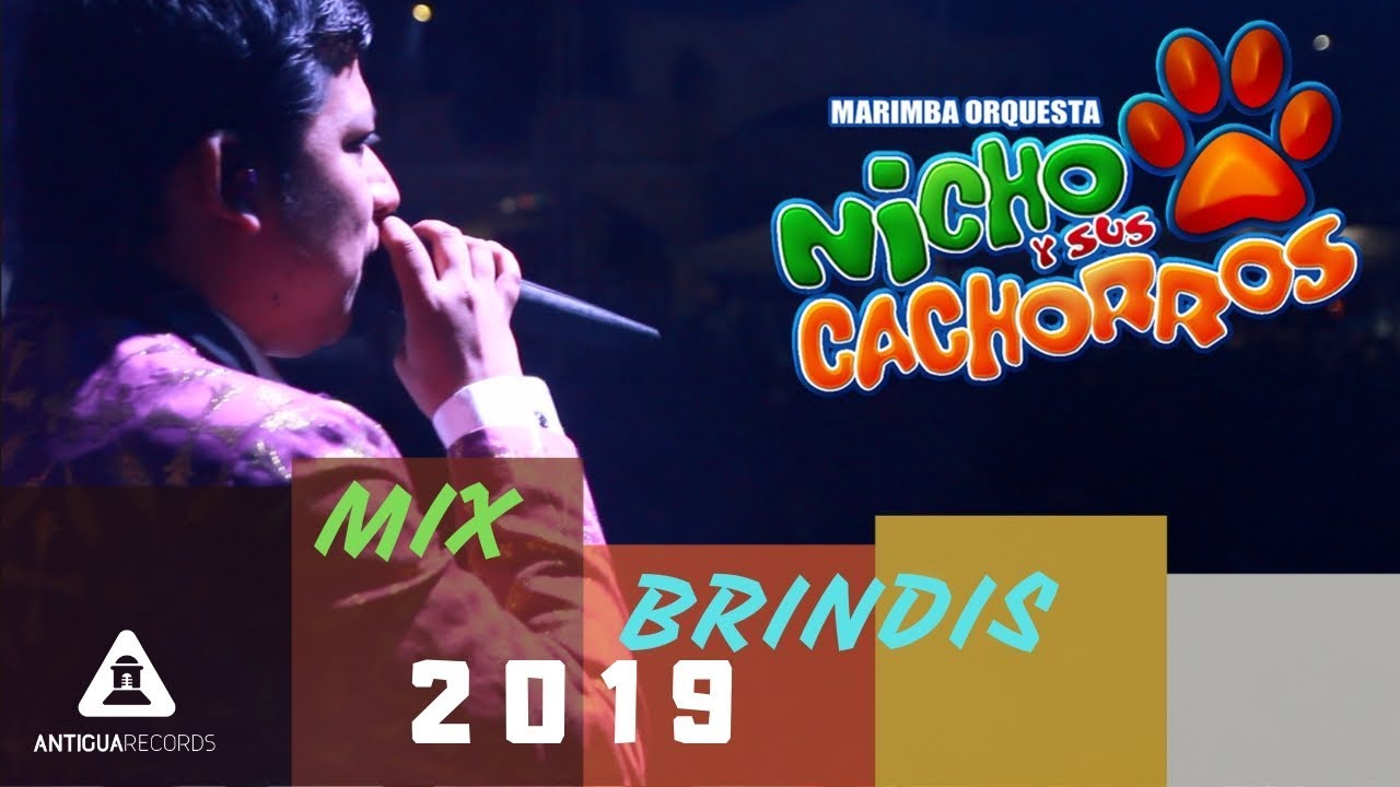 Mix Brindis  Nicho y sus Cachorros 2019