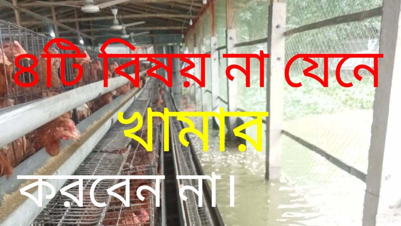 ৪টি বিষয় সমপর্কে না যেনে কখনো মুরঘীর খামার করবেন না।অনেক গুরুত্বপূর্ণ বিষয়। How two layer poultry fa