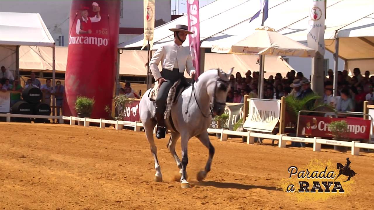 José Pablo Rodríguez Roman con Napoleón. Octavo del Cpto. de Andalucía de Doma Vaquera 2016. Carmona
