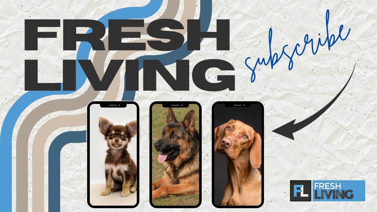 Year-Round Flea & Tick Protection for Pets