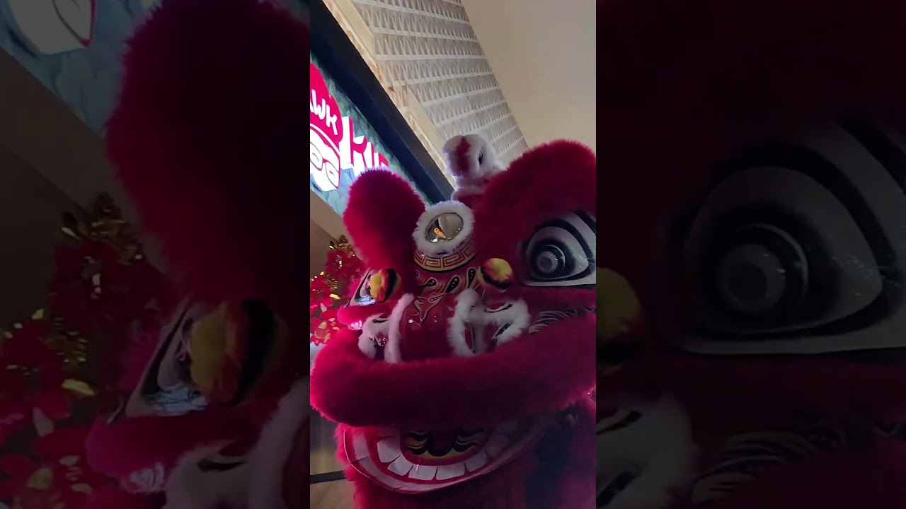 BARONGSAI AMBIL ANGPAO 🧧 LION DANCE SHOP BLESSING 2024