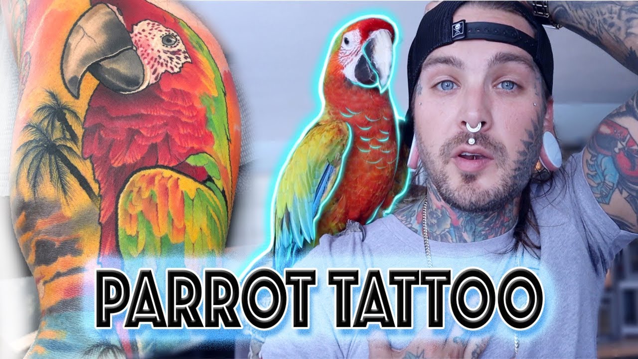 Tattooing my Parrot on a friend! Shop Introduction and Rescue update!