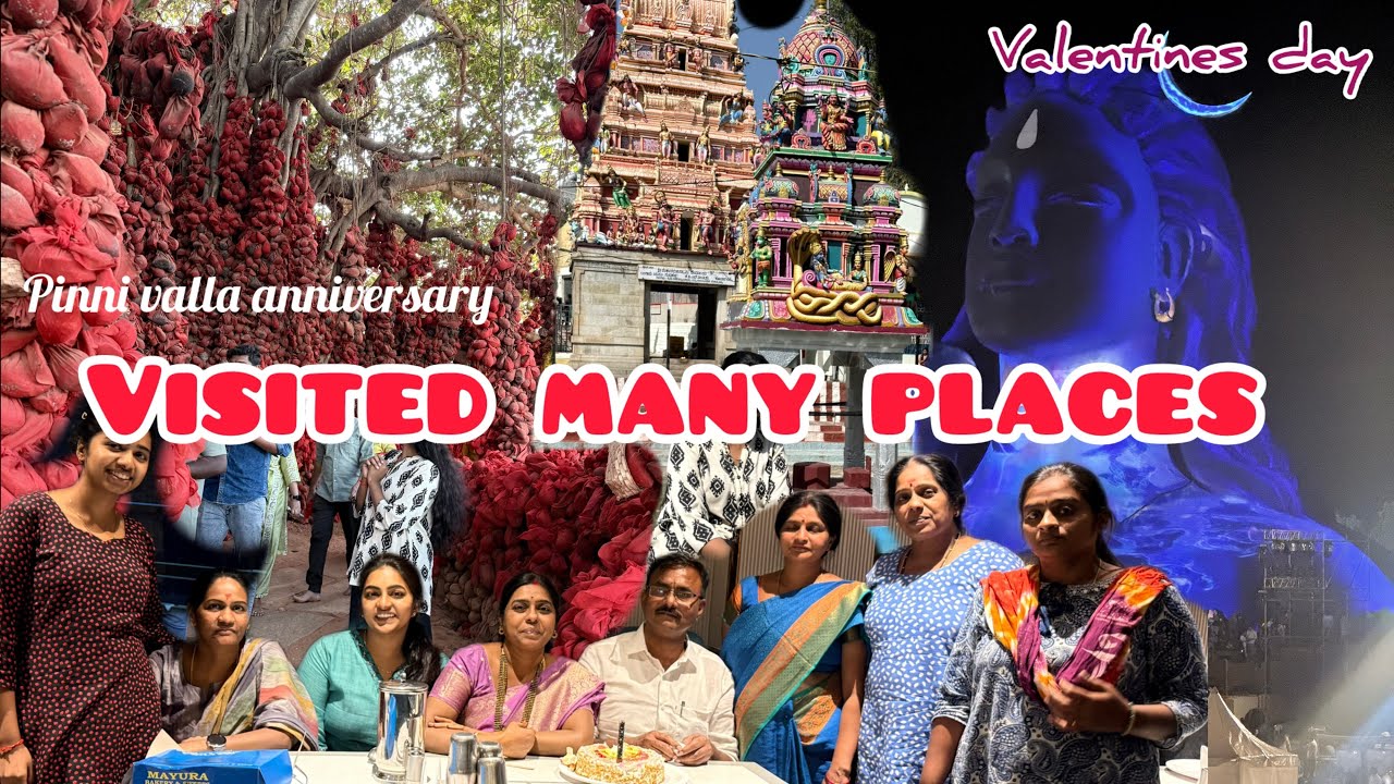 We visited so many places in just one day || pinni babai marriage anniversary || Valentines day spcl