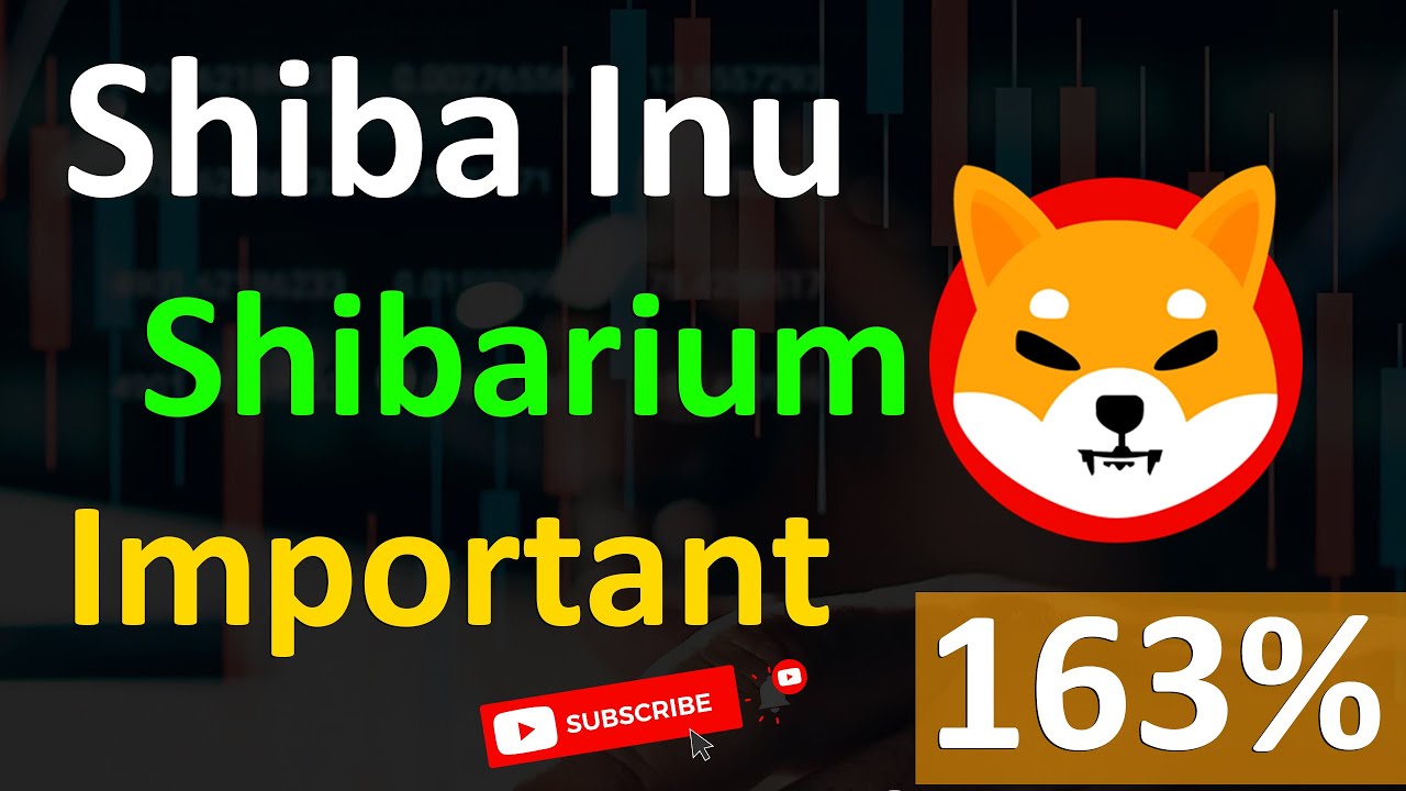 Shiba Inu Shibarium Important News | US Company Partnership with Shiba Inu | Shibaverse Gains 163%