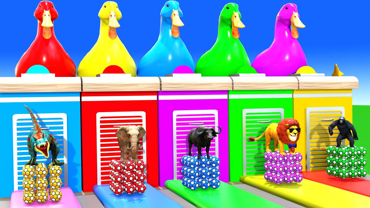 Long Slide Game with Cow Elephant Gorilla Hippopotamus Tiger 3d Animal Game Funny 3d Animals
