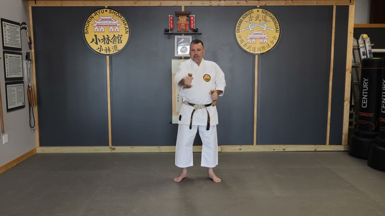 Tonfa Handling Intro