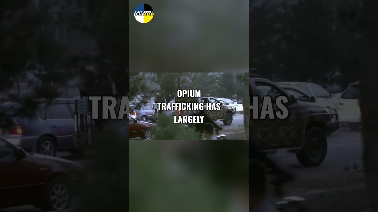 The Taliban's Drug Trade: Opium in Afghanistan | DISPATCH | #shorts