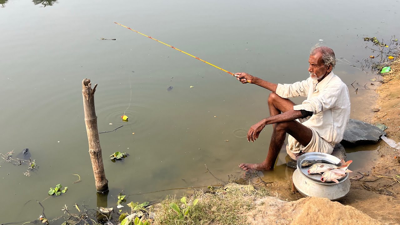 Fishing Video || The old grandfather teaches new techniques of fishing in the village pond || Fish