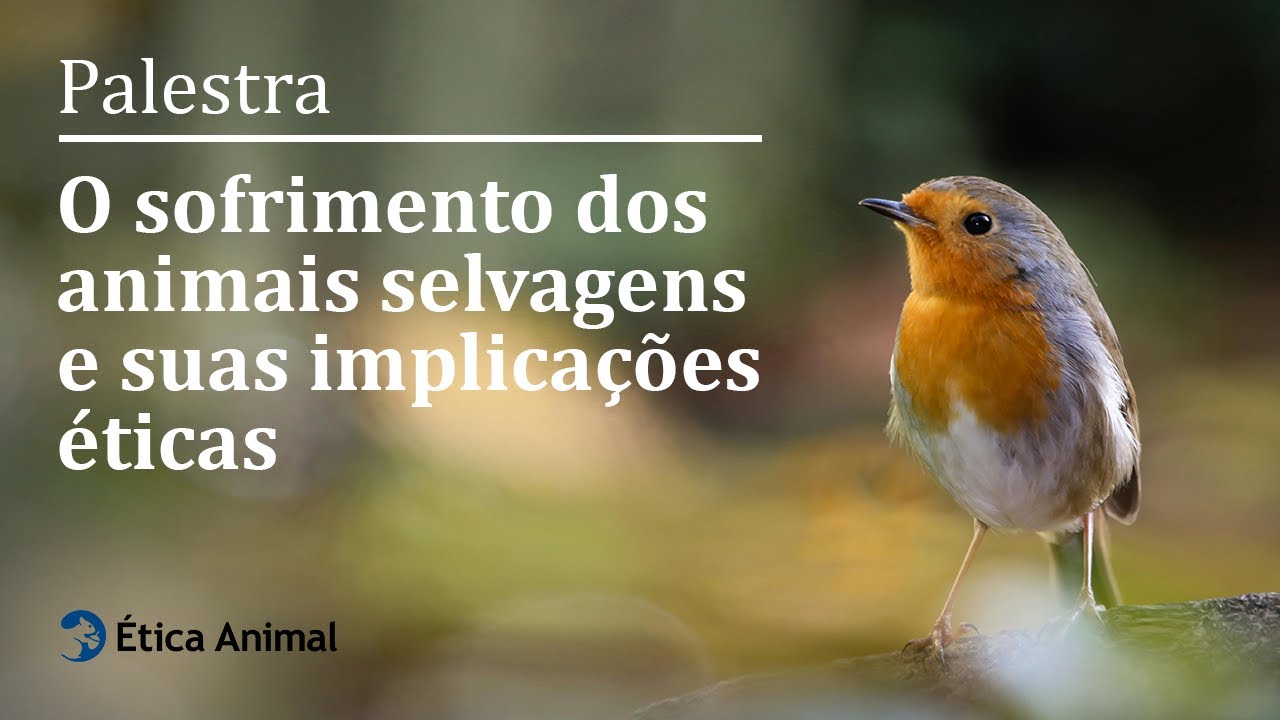 Palestra - O sofrimento dos animais selvagens e suas implicações éticas